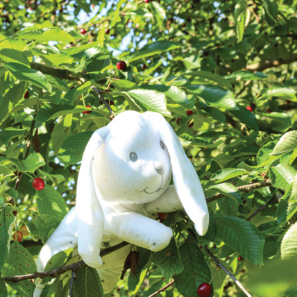 Avis Peluche à billes Trois Kilos Sept 3