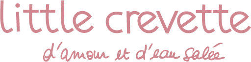 logo little crevette