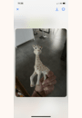 avis Sophie la Girafe par Karen