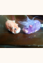 avis Zhu Zhu Pet Hamster par elise