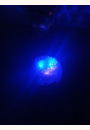avis Projecteur dynamique Baleine Aqua Dream Deluxe par Alicia