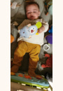 avis Peluche Croc´Hippo par Magaly