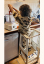 avis Tour d'apprentissage Toucan par Sarah