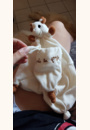 avis Doudou So Pure SOPHIE LA GIRAFE par EMILIE