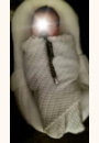 avis Cocoonababy par Mélissa 