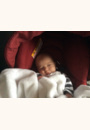 avis Poussette Elea par Adeline