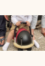 avis Porteur coccinelle par Josephine