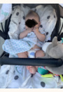 avis Poussette Balios M par Camille