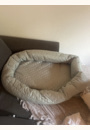 avis Réducteur de lit pour bébé Botanic par Titouan