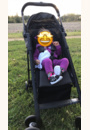 avis Poussette Easylife Elite par Fiona