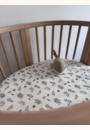 avis Berceau Sleepi Mini par Anne-Sophie