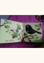 avis Livre sonore Les oiseaux par Laura