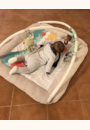 avis Tapis Plush Gymini ultra-confort par Aude