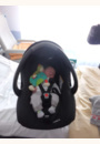 avis Duo Poussette High Trek et Nacelle Windoo Plus par Emma