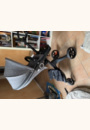 avis Poussette XPLORY par Pauline 