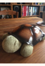 avis Veilleuse Tortue Etoile par Elise