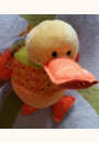 avis Nicky le Canard des découvertes par Claire sophie