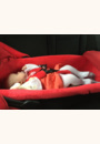 avis Nacelle Compacte par Johanna