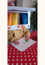 avis 6 bouteilles de peinture à doigts par Manon