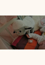 avis Milo le Mouton berceur par Elodie