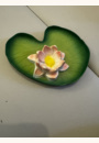 avis Nénuphar Lily pour bébé par Jessica