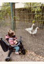 avis Tricycle Liki Trike S3  par Marie