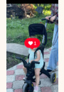 avis Tricycle Liki Trike S3  par Povarciuc