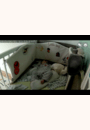 avis Caméra pour Bébé EyeOn Baby  par Charlotte