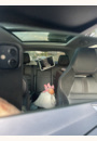 avis Miroir de surveillance Ezi Mirror LED PRO par Sophie