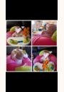 avis Cotoons Cosy Seat Siège gonflable par Aude