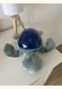 avis Veilleuse projecteur Tortue Aqua Dream par Helen