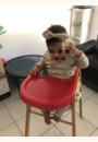 avis Chaise Haute Bois Lili par Olivia
