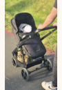 avis Poussette 4 en 1 newly + siège auto mink pro + base par Morgane