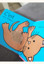 avis Livre Où est mon chaton ? par Marjorie 