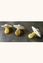 avis Lot de 3 sucettes Try It Colour Collection par Florine