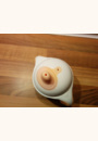 avis Tasse Explora First Sips 150 ml par Adeline