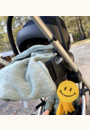 avis Siège auto Cloud Z i-Size par Lorette