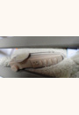 avis Peluche Mouton apaisant Sleep Sheep Smart Sensor par janine