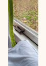 avis Les Bois Francs par Guilherme