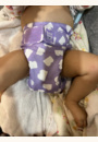 avis Couche lavable révolutionnaire par Laura