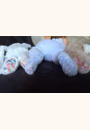 avis Peluche Lapin Bashful par Julie