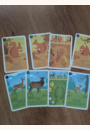 avis Jeu de cartes Les familles de la forêt Nature par Marie