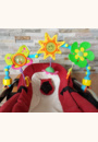 avis Arche articulée sunny stroll Nature pals par Sylvie