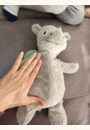 avis Bouillotte Peluche graines de blé Vache par Emilie