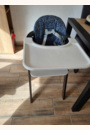 avis Kit Baby Set pour chaise haute Steps par Céline