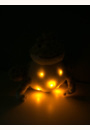 avis Twinkling Firefly Frog par Sophie