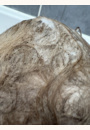 avis Shampooing nourrissant cheveux bouclés par Ophélie