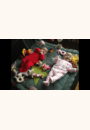 avis Tapis de parc melow star pingu par Lucie 