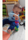 avis PETITE BETES A EMPILER par Charline