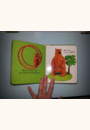 avis Animaux sauvages par AUDREY